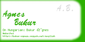 agnes bukur business card